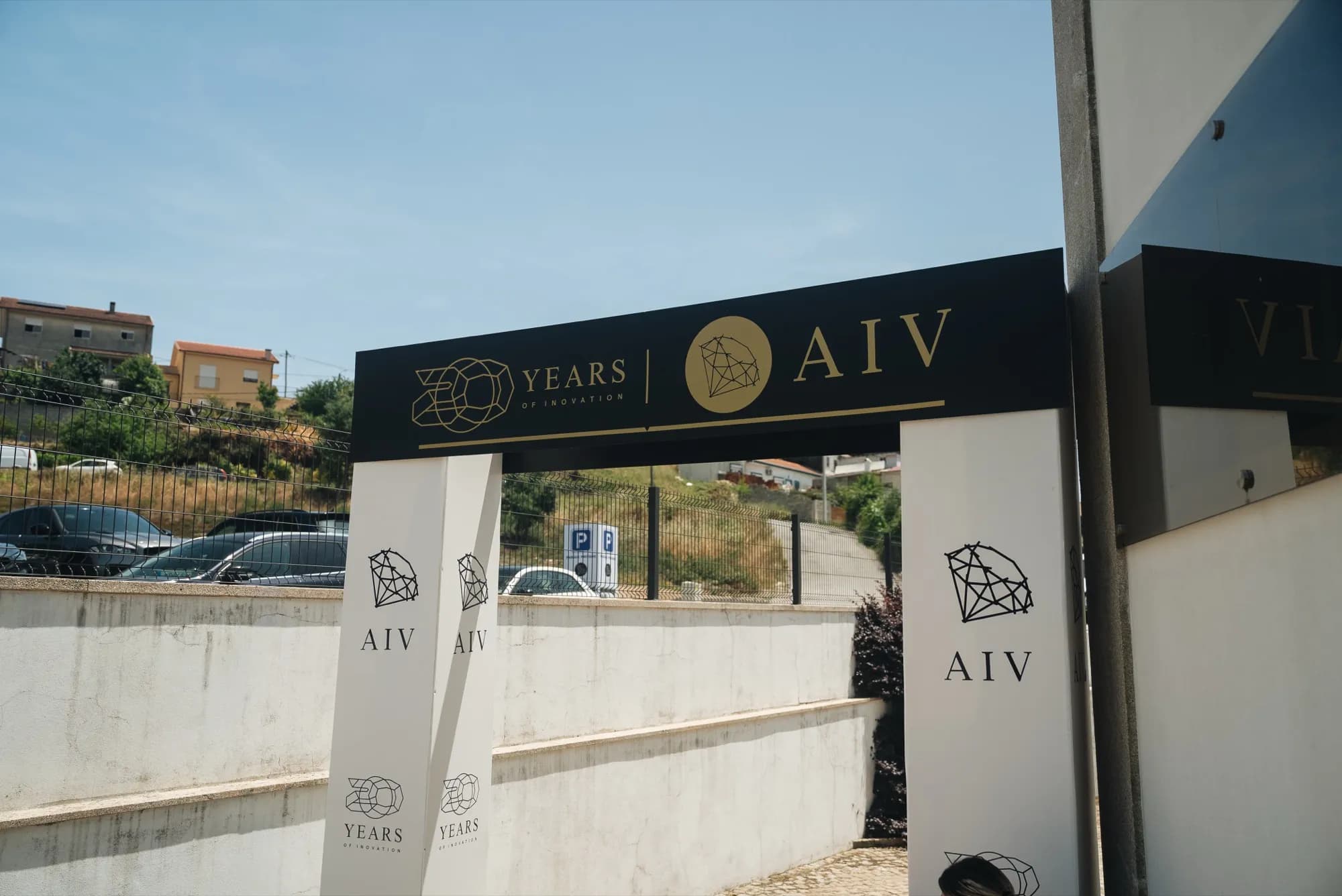 20 Anos AIV — imagem 2
